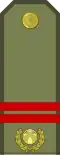 Кенже сержант Kenje serjant (Kyrgyz Army)[11]