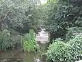 Hendon Lane Weir, Dollis Brook