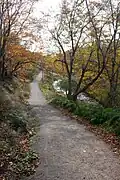 Shandwick Street Trail along Reservoir Brook