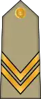 Sergent chef (Arabic: رقيب أول, romanized:&nbsp;Raqib awwal) (Algerian Land Forces)[2]