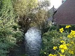 The Cailly river in Déville-les-Rouen
