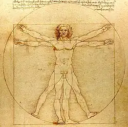 Drawing of da Vinci's concept of the ideal human body proportions.