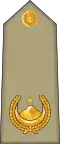 Commandant Arabic: رائد, romanized:&nbsp;Ra'id) (Algerian Land Forces)[9]
