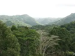 Tropical rain forest near in the heart of Topes de Collantes, Sancti Spíritus Province