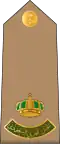 Raid