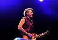 Luc van de Poel