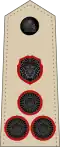 Brigadier (Malawi Army)[21]