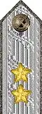 Shoulder mark on uniform m/1923 (1923–1939)