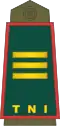 Captain