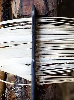 6. The fibres are then “combed” to separate them.