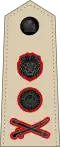 General (Malawian Army)[24]