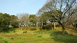 Shōbōji Kofun