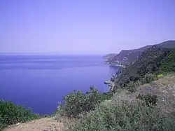 scene