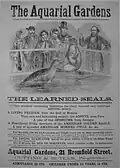 Advertisement for "the learned seals," 1860