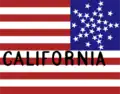Flag used by California's delegates at the 1860 Republican National Convention[67]