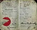 1934 US passport issued to 23-year-old Shura Cherkassky