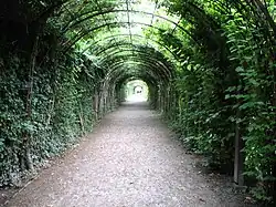 A green tunnel trained on modern materials, Mirabellgarten, Salzburg