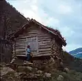 1960. The old storehouse on pillars at Nesbø.
