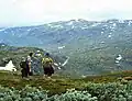 1960. View towards Storebotn. Today the highway follows the river along the western bank (i.e., to the right).