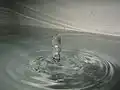 Backjet from drop impact