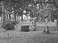 Smithfield Burial Ground, 2010