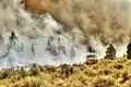 Pumper crew on line