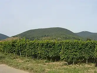 The Breitenberg