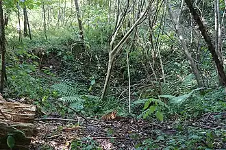 Funnel marking the location of the well.