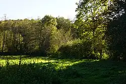 Site of an old well.