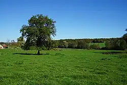 Site of the former Sainte-Barbe adit.