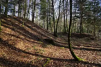The slag heap
