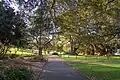 Royal Botanic Gardens, Sydney
