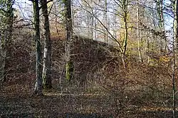 Wooded section of the northern slag heap.