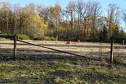 The horse arena.