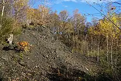 Summit section.
