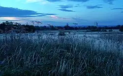 Evening view