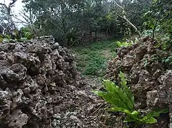 Castle ruins surrounded by coral stone walls.