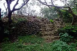 Castle walls constructed from piled coral limestone.。