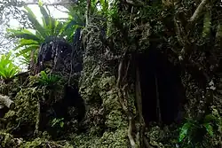 Castle ruins covered in coral reefs and vegetation.