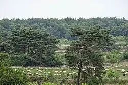 Landscape near Havelterberg
