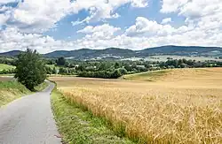 Rogówki Hills