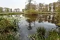 Vagevuur near Nietap