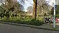 'Groeneveld' bark[10]