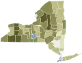 New York 2021 Proposal 3 results by county