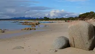 Beach at Tomahawk, looking south-east to Mount Cameron