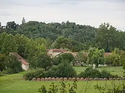 General view of Riguepeu.