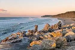 Bruce Bay