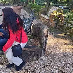 Image 33Tourists try out a seat cut from a stump, said to have been the favorite relaxing spot of Pope John Paul II. (from Gardens of Vatican City)