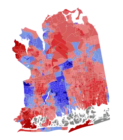 2025 Nassau County Executive Election Precinct