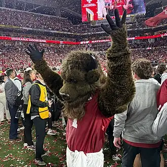 Mascot vibing.